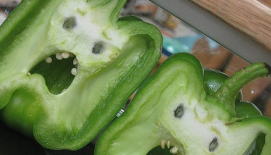 28 products that desperately don't want to be eaten