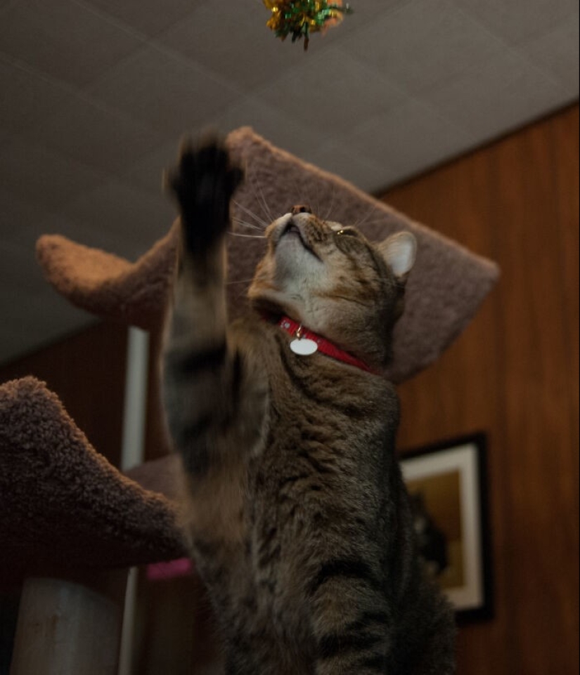 28 professions that aren't as cool as everyone thinks