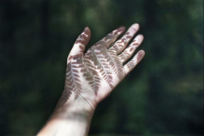 29 fotógrafos creativos que saben jugar con sombras