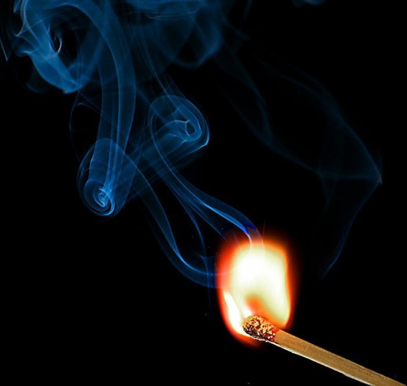 30 amazing facts that at first glance seem absurd 30 amazing facts that at first glance seem absurd