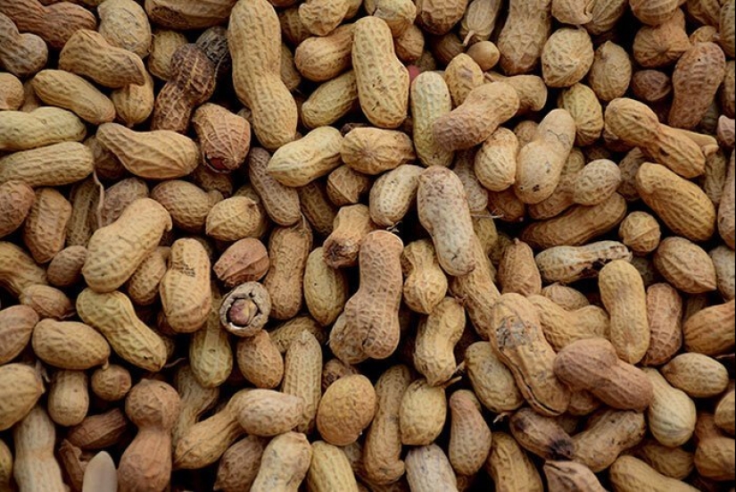 30 amazing facts that at first glance seem absurd 30 amazing facts that at first glance seem absurd