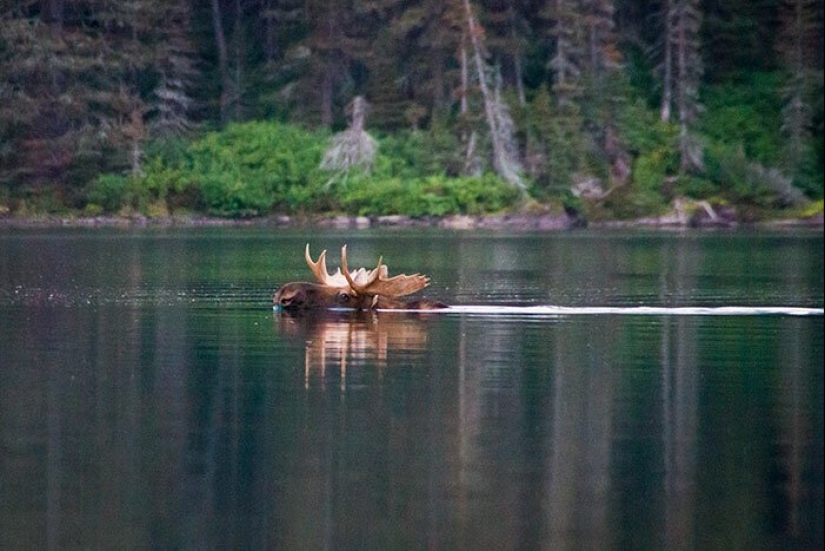 30 amazing facts that at first glance seem absurd 30 amazing facts that at first glance seem absurd