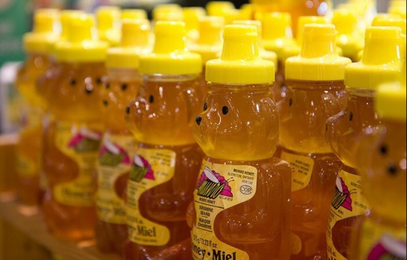 30 amazing facts that at first glance seem absurd 30 amazing facts that at first glance seem absurd