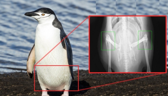 30 amazing facts that at first glance seem absurd 30 amazing facts that at first glance seem absurd