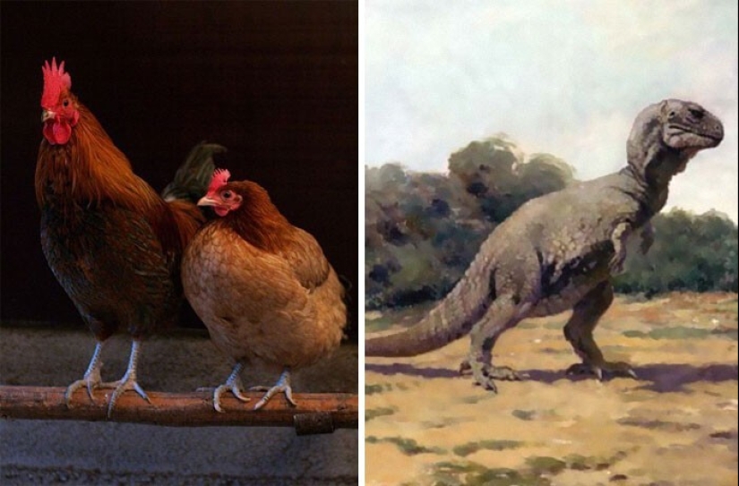 30 amazing facts that will blow your brain!