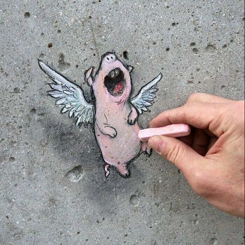 30 animales desconocidos en las calles de la ciudad de la artista David Sinn 30 animales desconocidos en las calles de la ciudad de la artista David Sinn