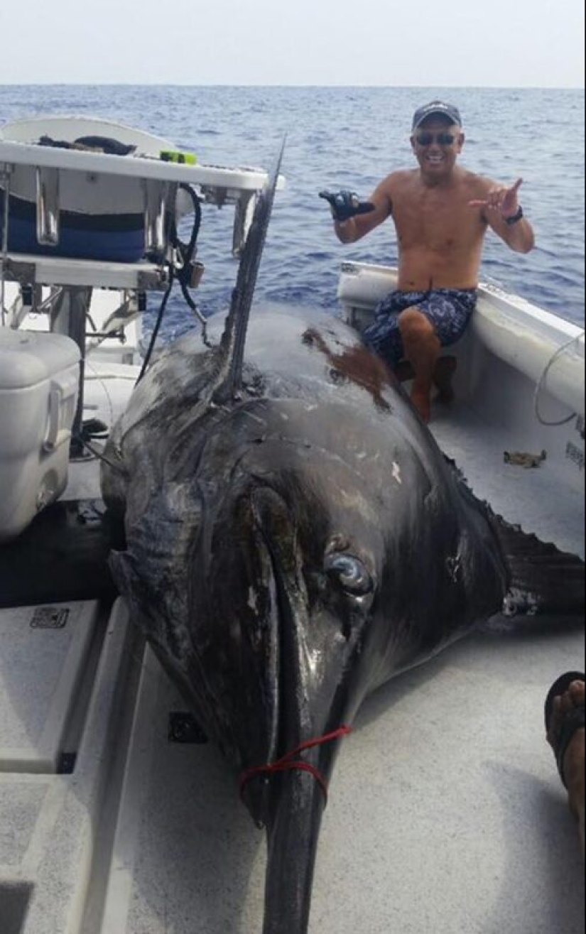 30+ animals, real sizes which will surprise you 30+ animals, real sizes which will surprise you