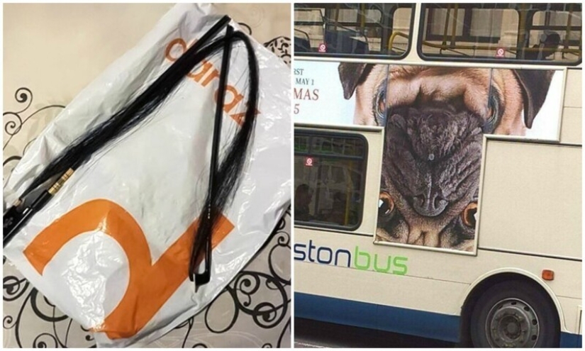 30 aspirantes a trabajadores que necesitan arrancarse las manos por ridículos cardúmenes