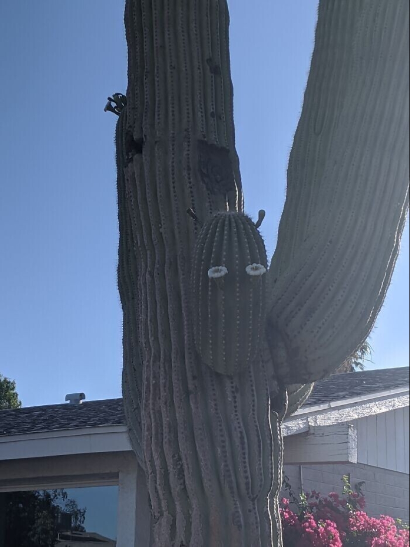 30+ cases when people looked at the world, and he looked at them in response 30+ cases when people looked at the world, and he looked at them in response