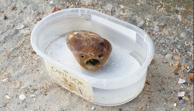 30+ cases when people looked at the world, and he looked at them in response 30+ cases when people looked at the world, and he looked at them in response