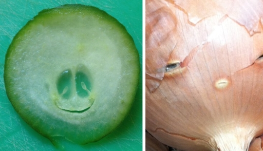 30 + casos cuando la gente miraba el mundo, y él los miraba en respuesta 30 + casos cuando la gente miraba el mundo, y él los miraba en respuesta