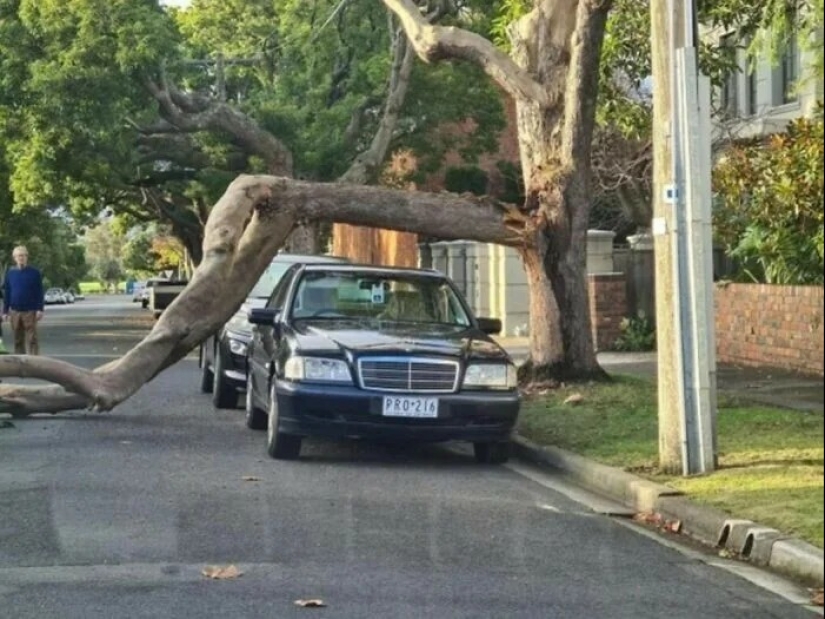 30 casos en los que las personas son increíblemente afortunadas