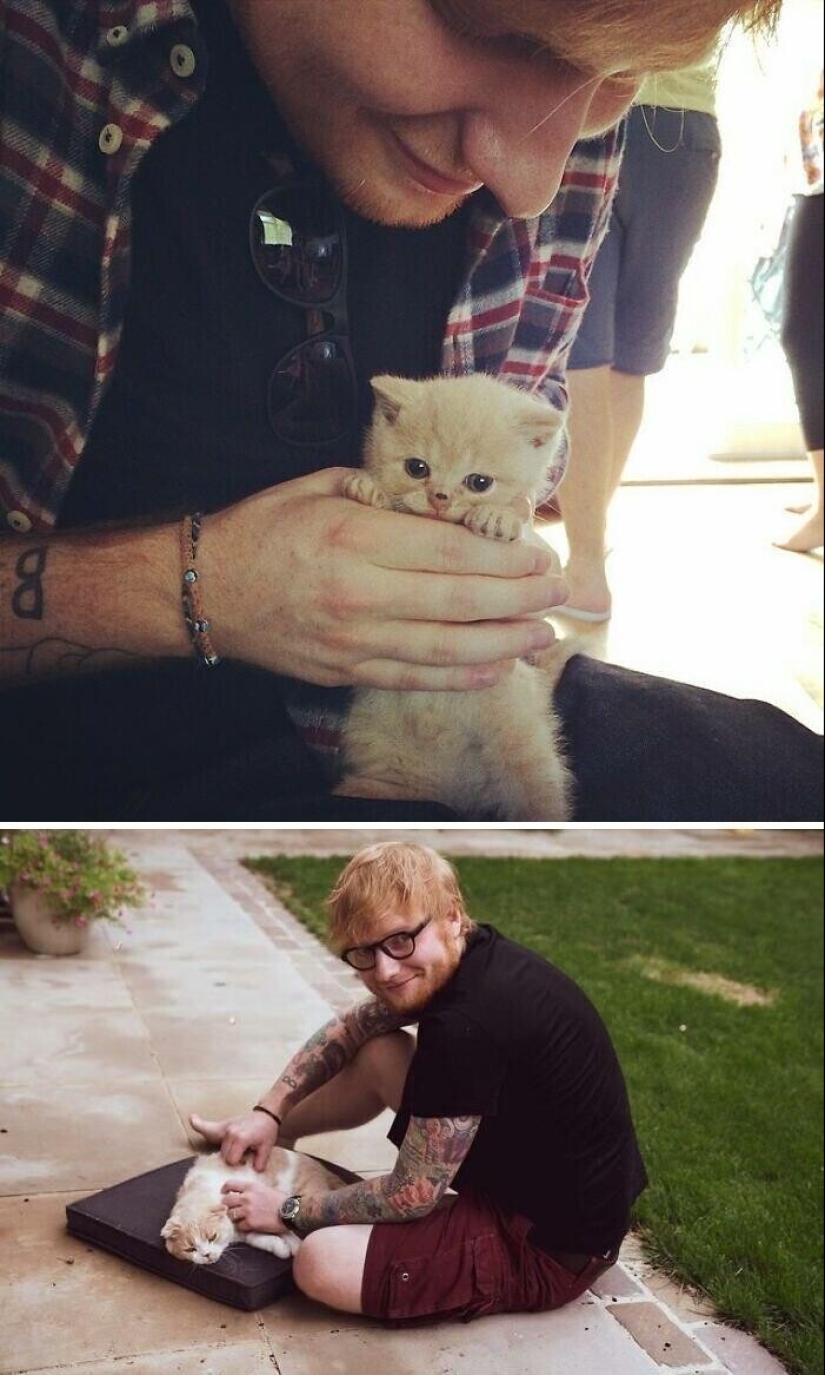 30 celebrities who love cats 30 celebrities who love cats