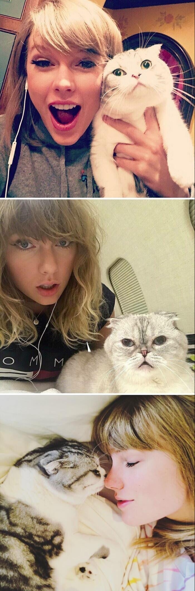 30 celebrities who love cats 30 celebrities who love cats
