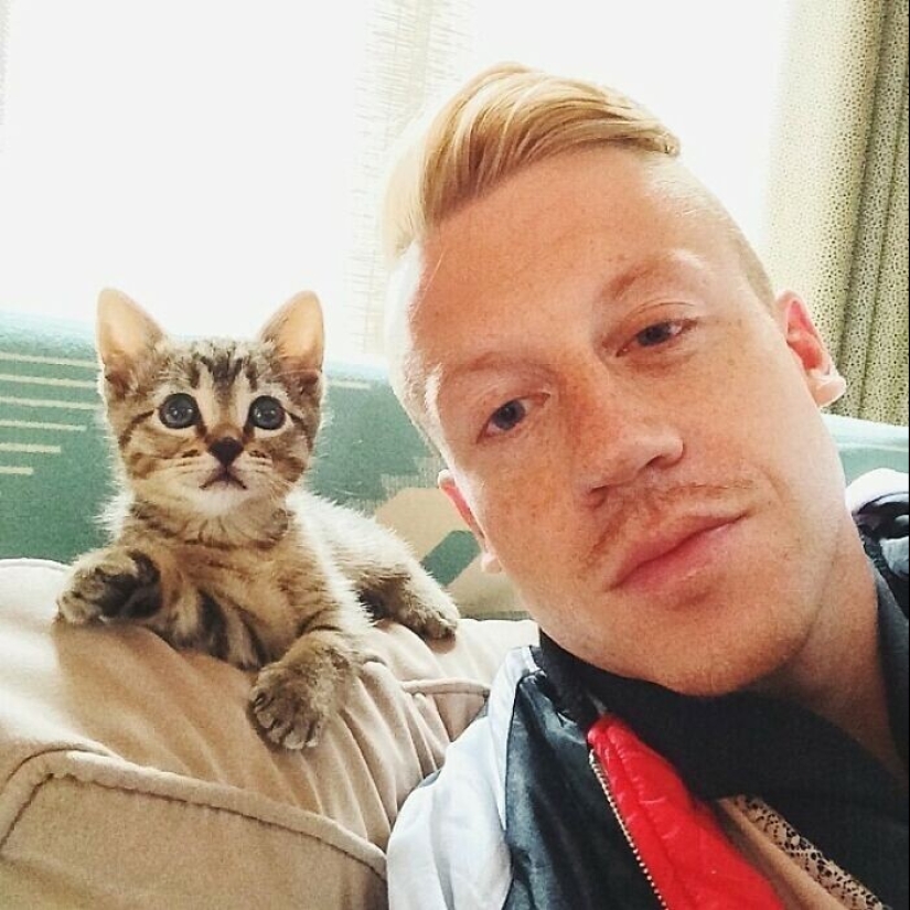 30 celebrities who love cats 30 celebrities who love cats