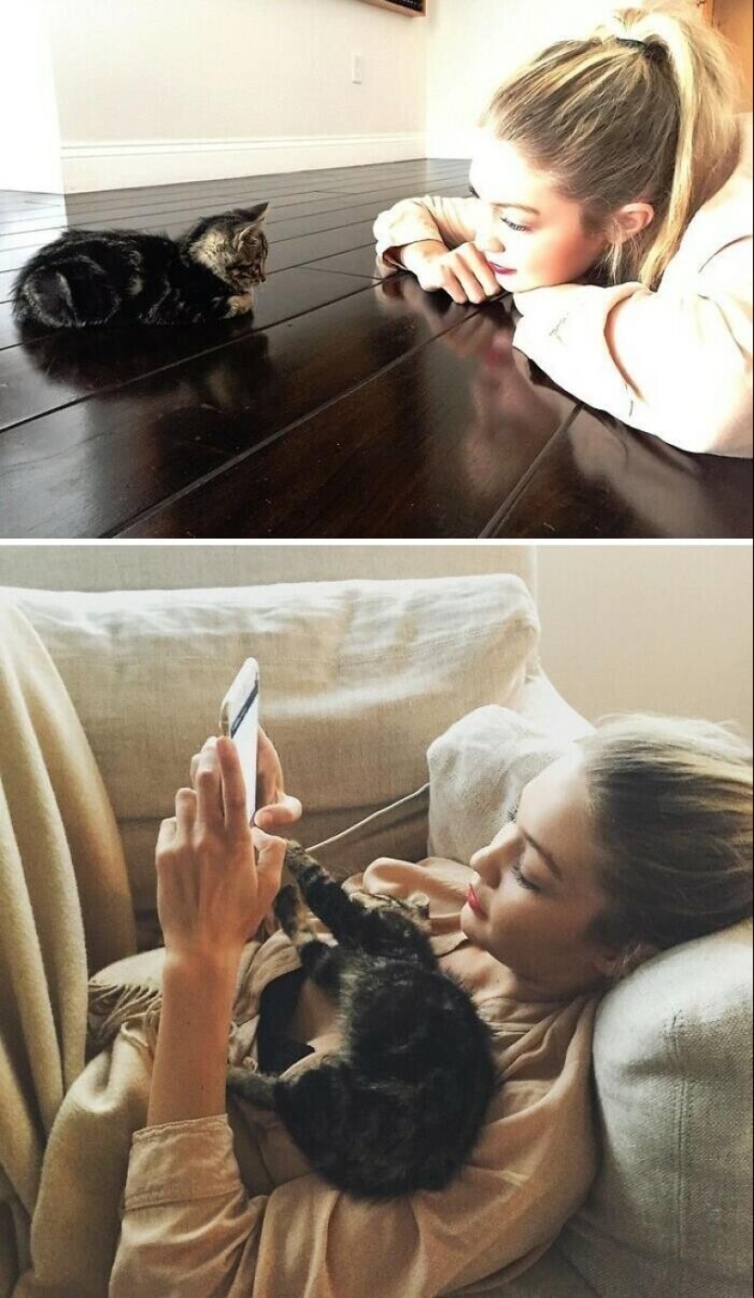 30 celebrities who love cats 30 celebrities who love cats