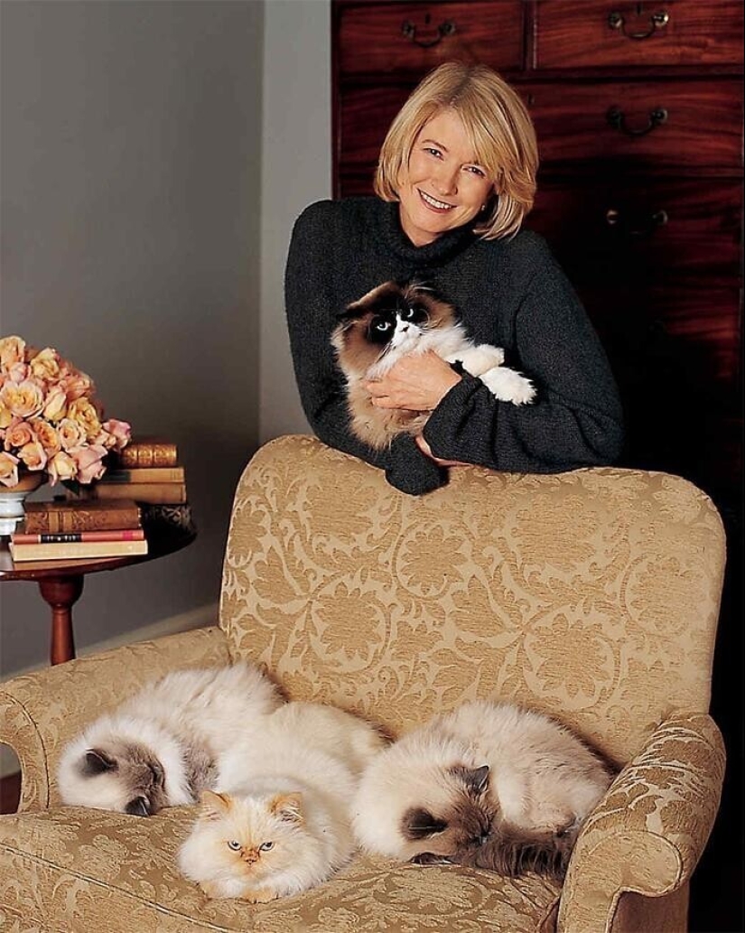 30 celebrities who love cats 30 celebrities who love cats