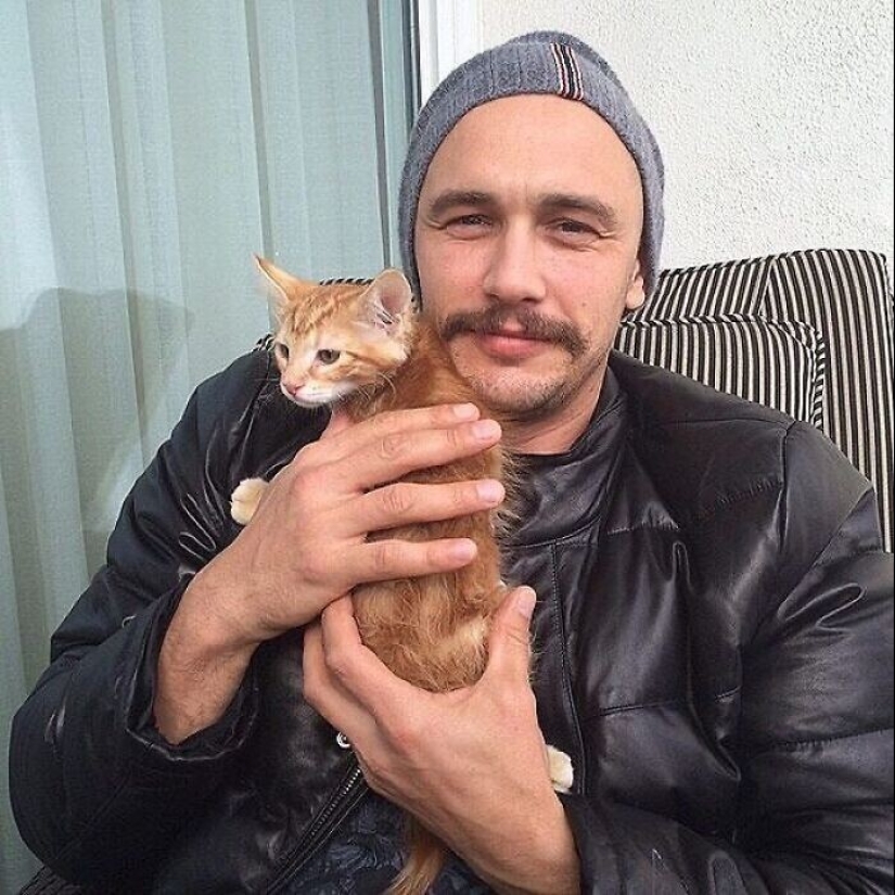 30 celebrities who love cats 30 celebrities who love cats