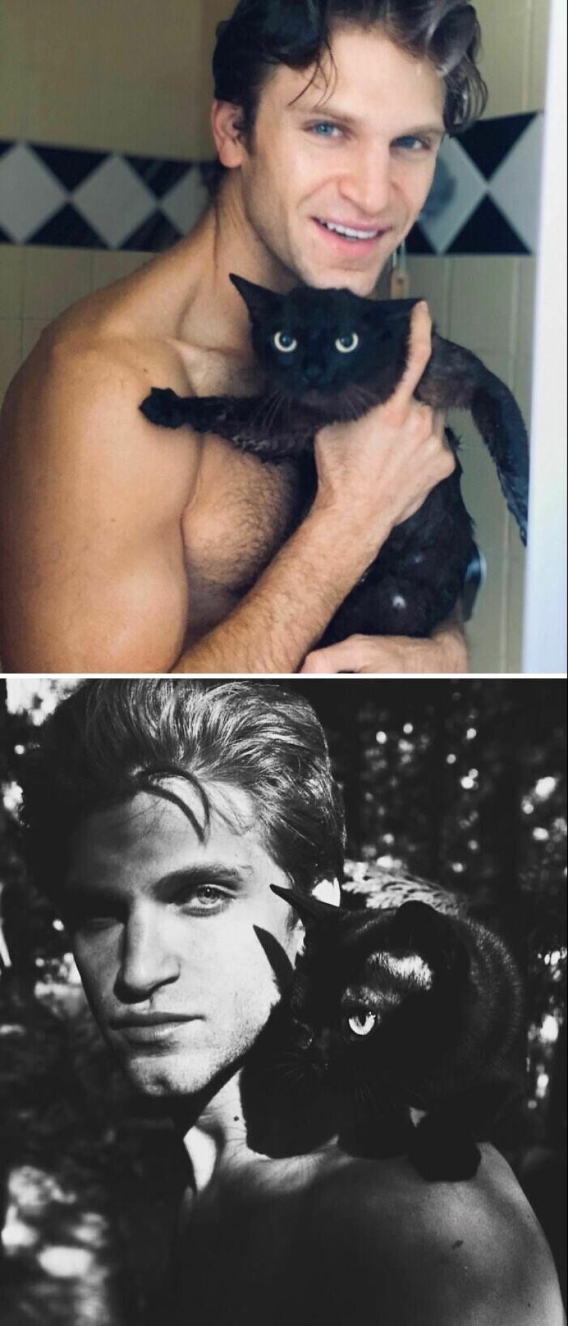 30 celebrities who love cats 30 celebrities who love cats