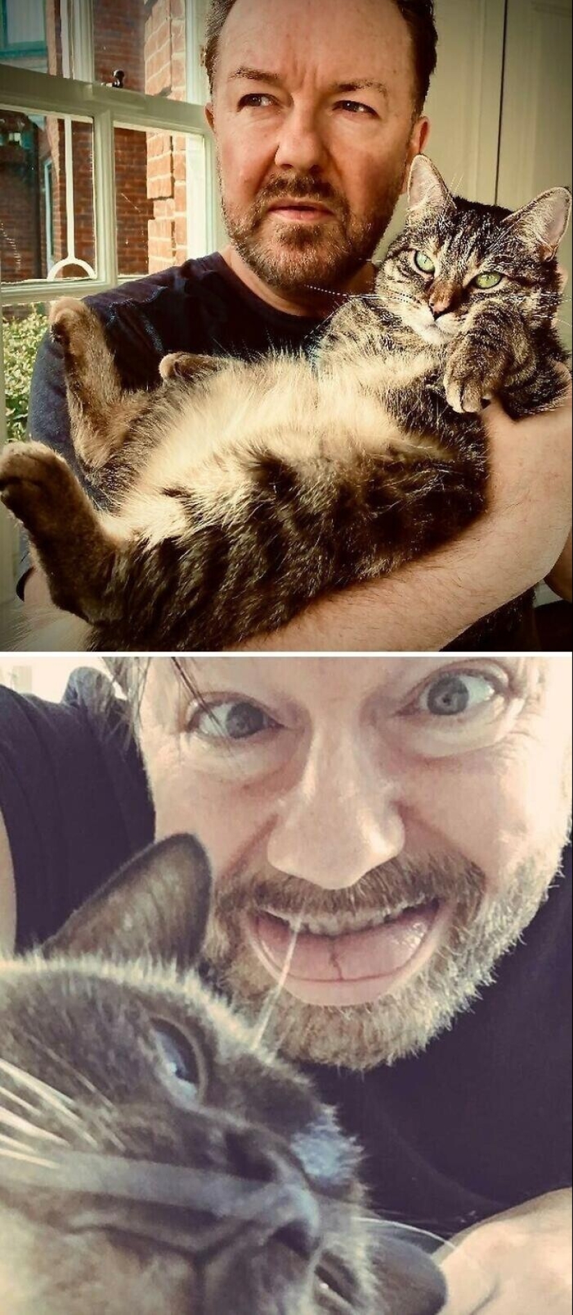30 celebrities who love cats 30 celebrities who love cats