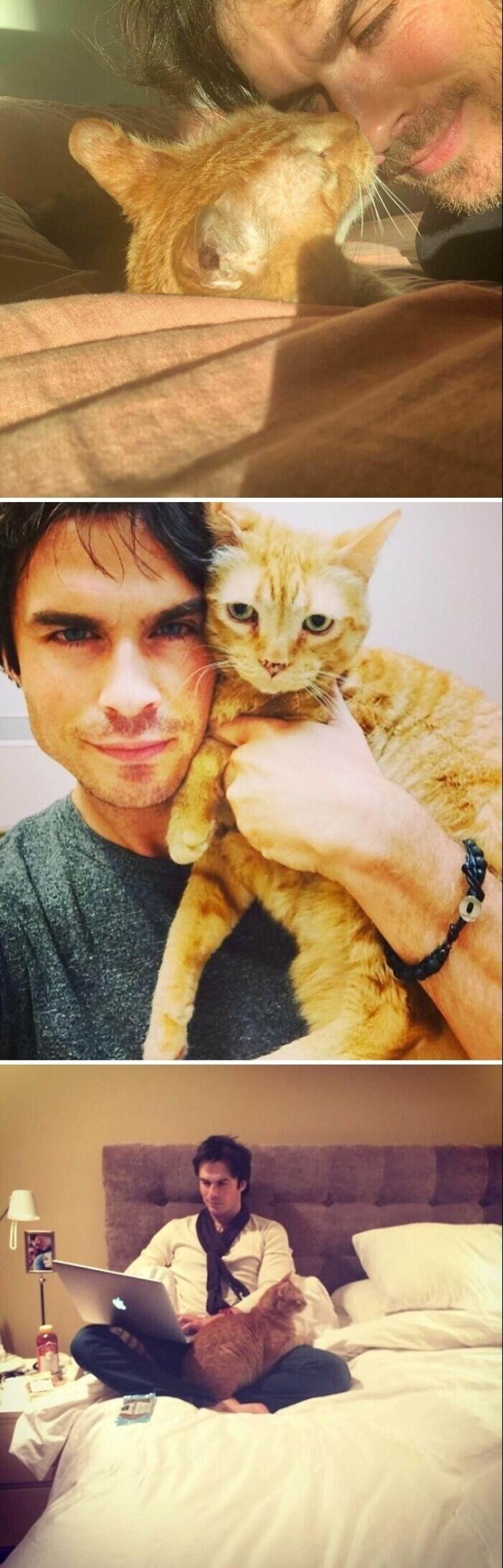 30 celebrities who love cats 30 celebrities who love cats