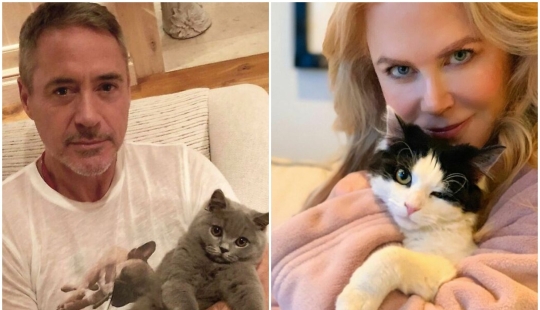 30 celebrities who love cats
