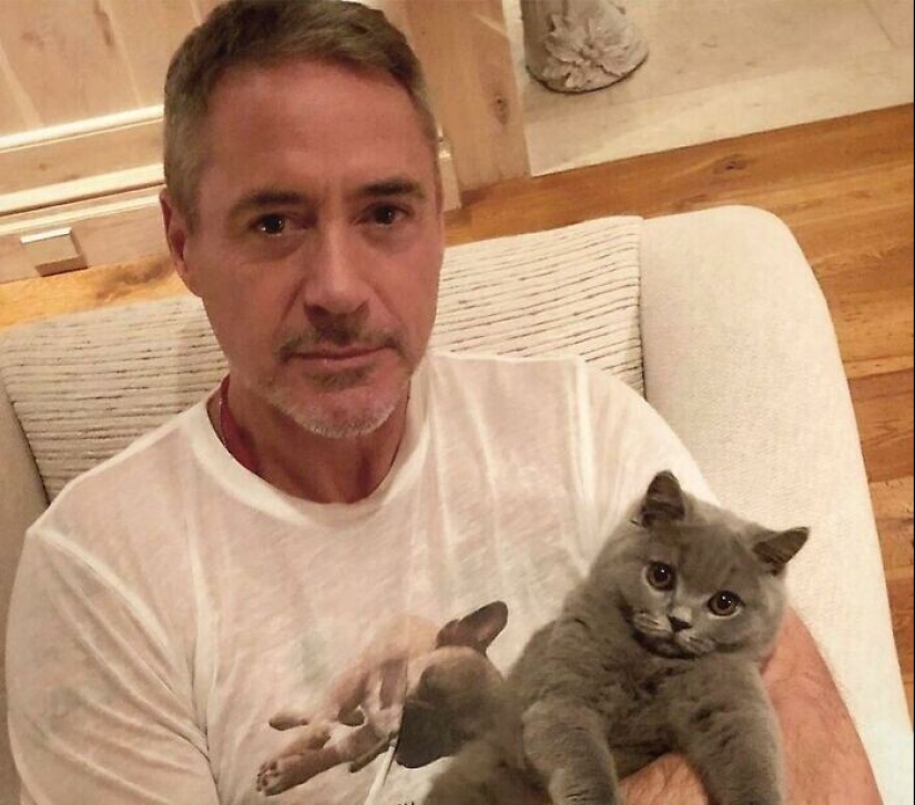 30 celebrities who love cats 30 celebrities who love cats