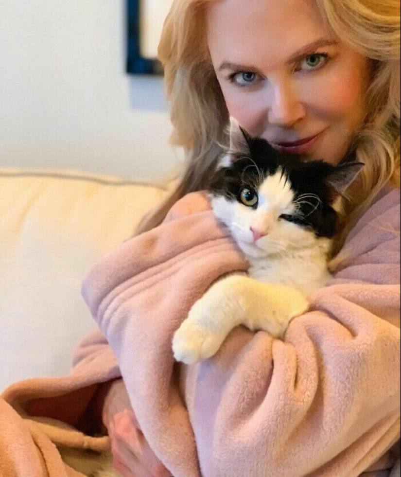 30 celebrities who love cats 30 celebrities who love cats
