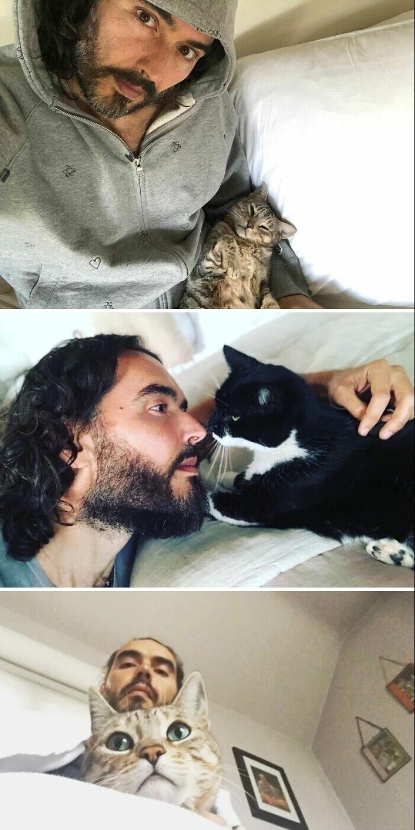 30 celebrities who love cats 30 celebrities who love cats
