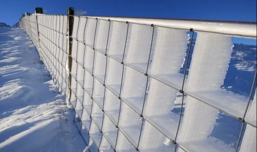 30 cold photos that clearly show the full power of the harsh winter 30 cold photos that clearly show the full power of the harsh winter