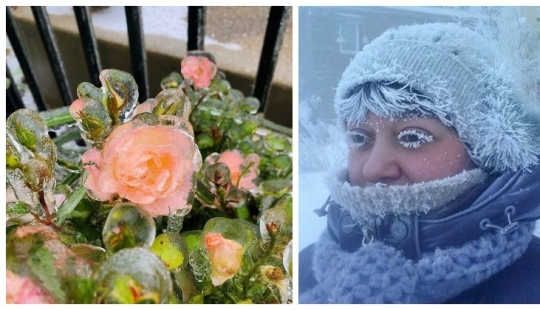 30 cold photos that clearly show the full power of the harsh winter