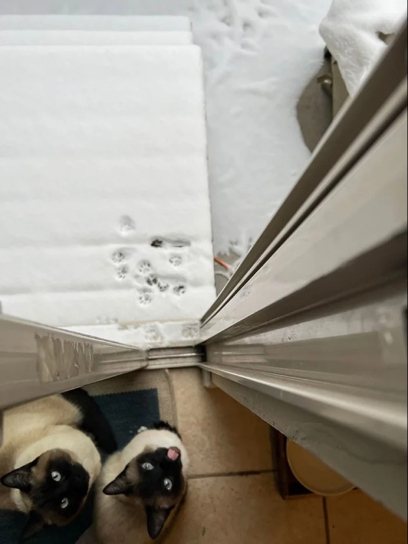 30 cold photos that clearly show the full power of the harsh winter 30 cold photos that clearly show the full power of the harsh winter