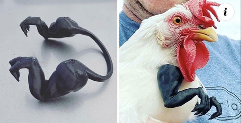 30 controversial masterpieces from masters with a lack of taste