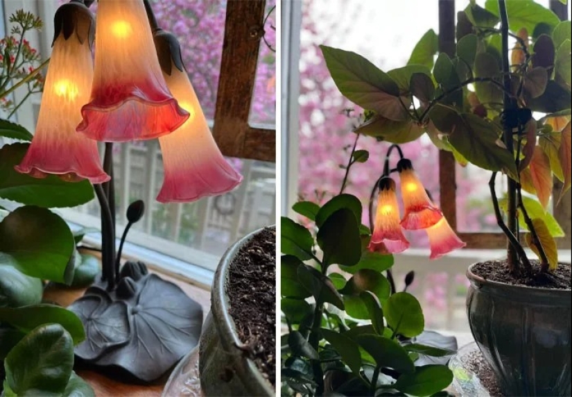 30 cool purchases from commissions, flea markets and sales 30 cool purchases from commissions, flea markets and sales