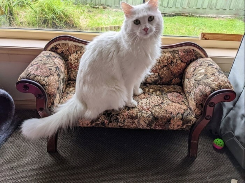 30 cool purchases from commissions, flea markets and sales 30 cool purchases from commissions, flea markets and sales