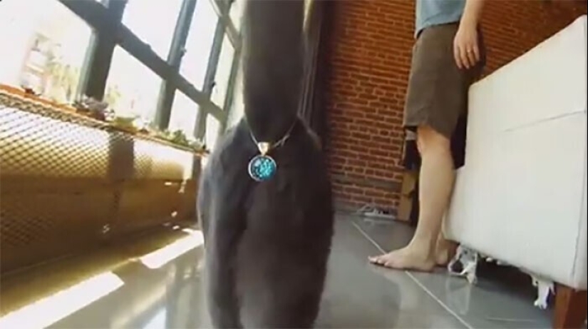 30 cosas absolutamente inútiles que existen por alguna razón 30 cosas absolutamente inútiles que existen por alguna razón