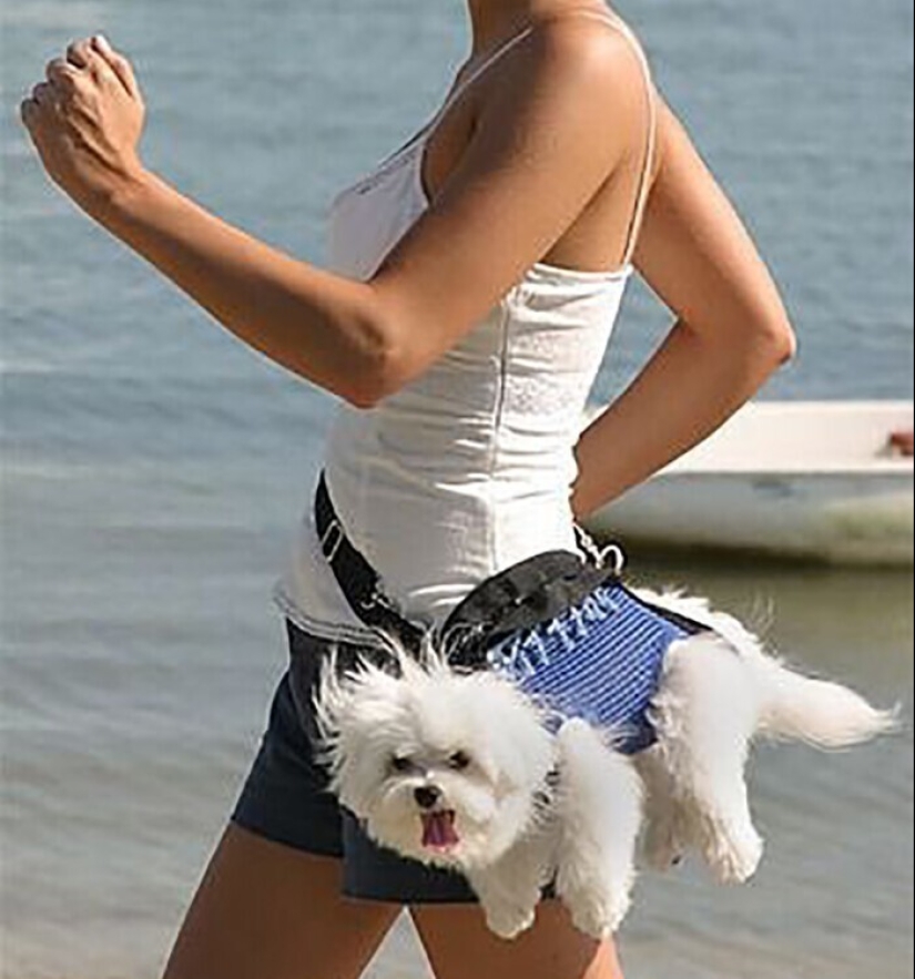 30 cosas absolutamente inútiles que existen por alguna razón 30 cosas absolutamente inútiles que existen por alguna razón