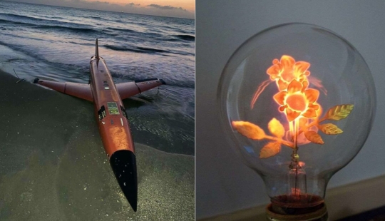 30 cosas raras que la gente encontró accidentalmente y estaban completamente encantados con 30 cosas raras que la gente encontró accidentalmente y estaban completamente encantados con