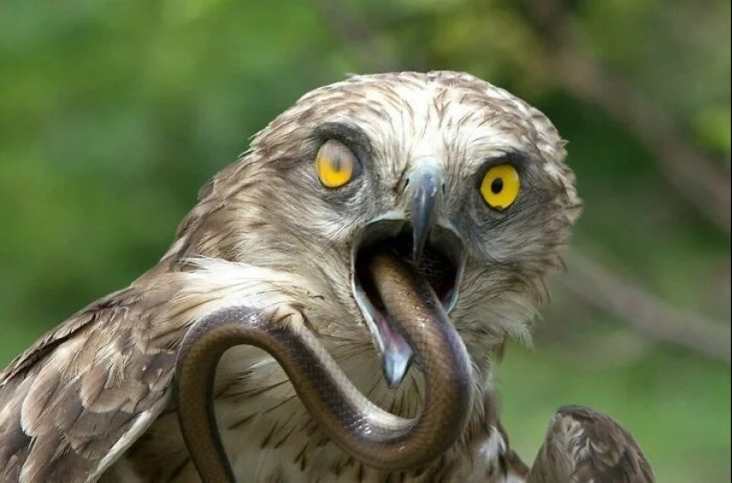 30 creepy photos that give you goosebumps