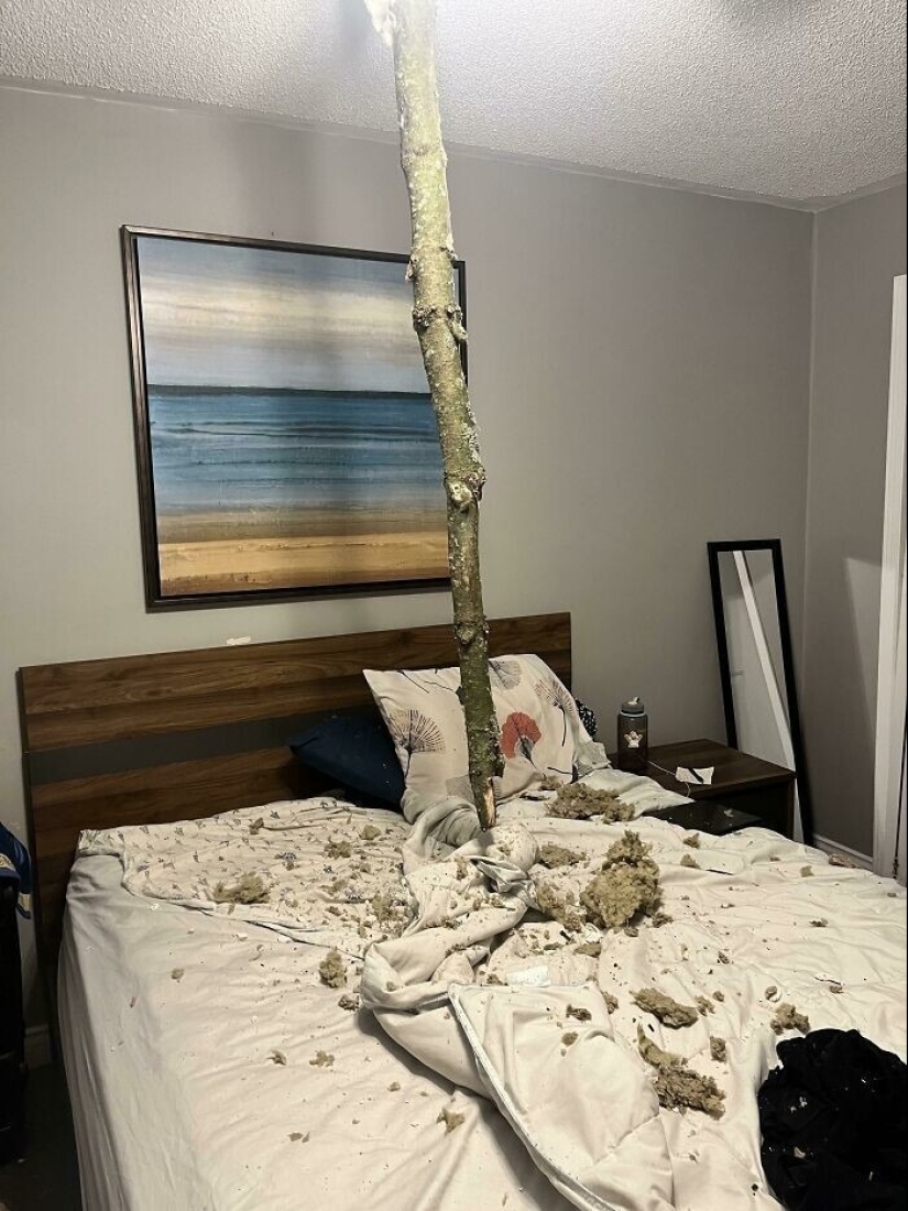 30 creepy photos that give you goosebumps