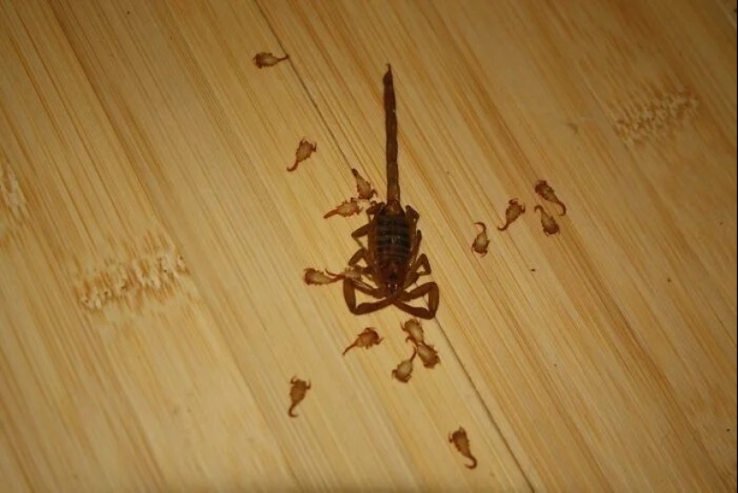 30 creepy photos that give you goosebumps