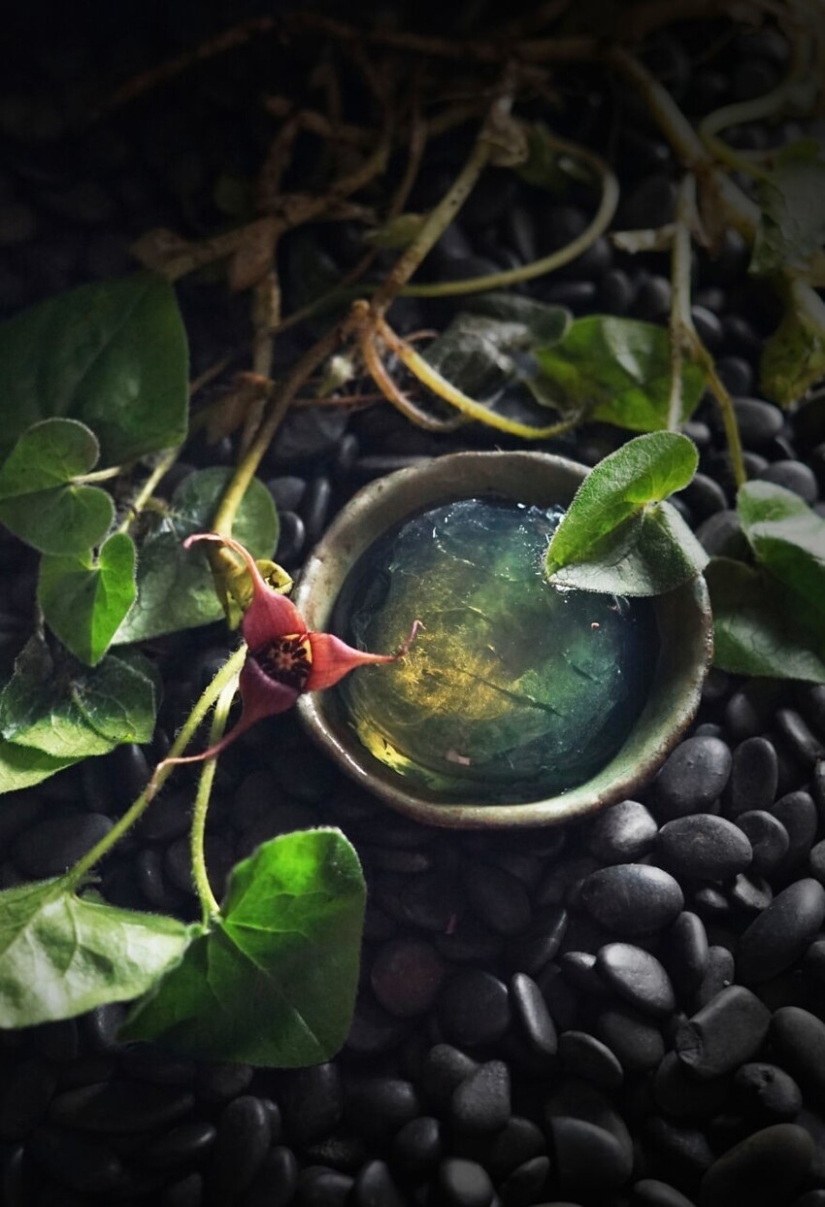 30 culinary creations that will deceive your eyes 30 culinary creations that will deceive your eyes