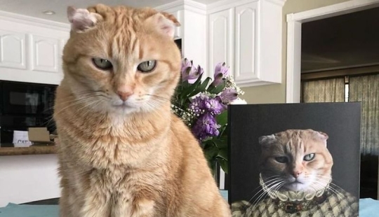 30 de Mascotas con sus retratos en el estilo de épocas pasadas 30 de Mascotas con sus retratos en el estilo de épocas pasadas