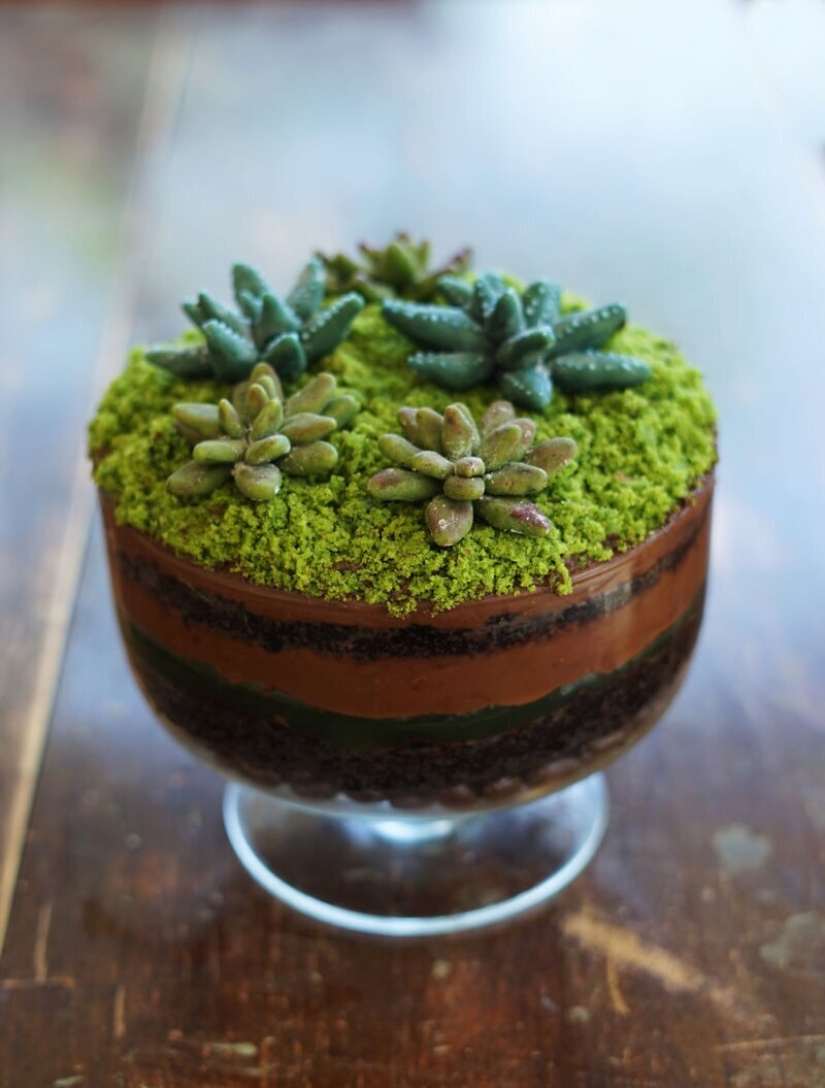 30 deliciosa ilusión óptica de chef de repostería de Idaho