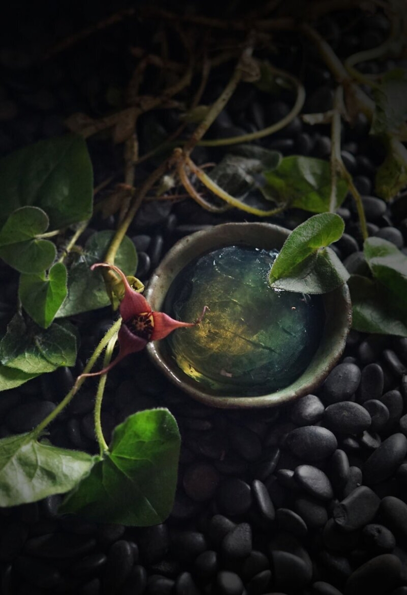 30 delicious optical illusion from pastry chef from Idaho 30 delicious optical illusion from pastry chef from Idaho