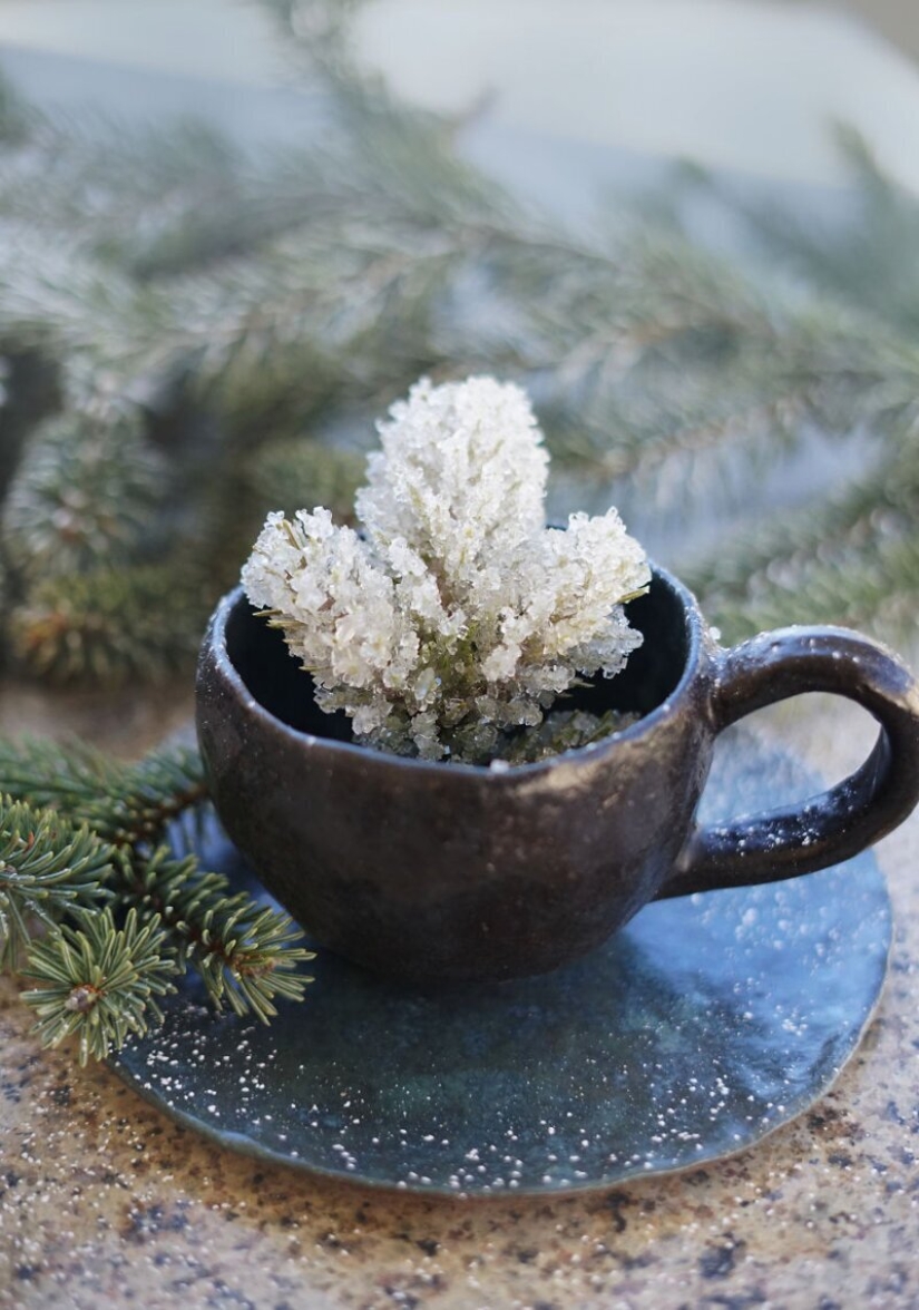 30 delicious optical illusion from pastry chef from Idaho 30 delicious optical illusion from pastry chef from Idaho