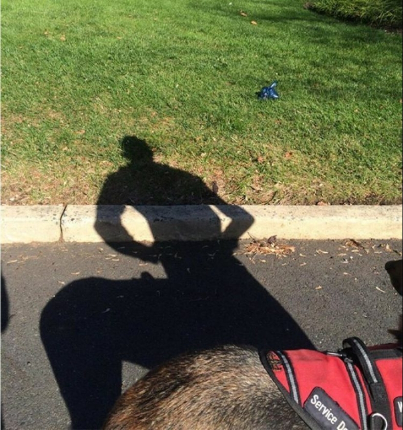 30 divertido fotos de las sombras que se ven como algo más 30 divertido fotos de las sombras que se ven como algo más