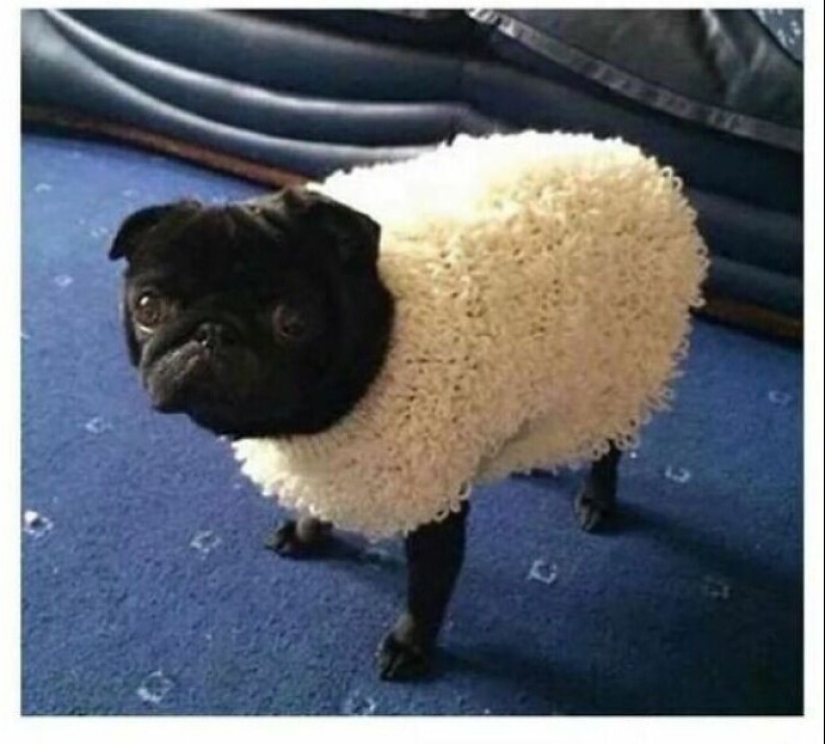 30 estúpidos trucos de la vida que, por extraño que parezca, funcionan 30 estúpidos trucos de la vida que, por extraño que parezca, funcionan