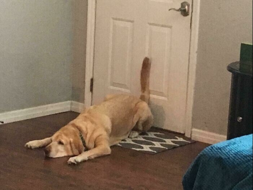 30 estúpidos trucos de la vida que, por extraño que parezca, funcionan 30 estúpidos trucos de la vida que, por extraño que parezca, funcionan