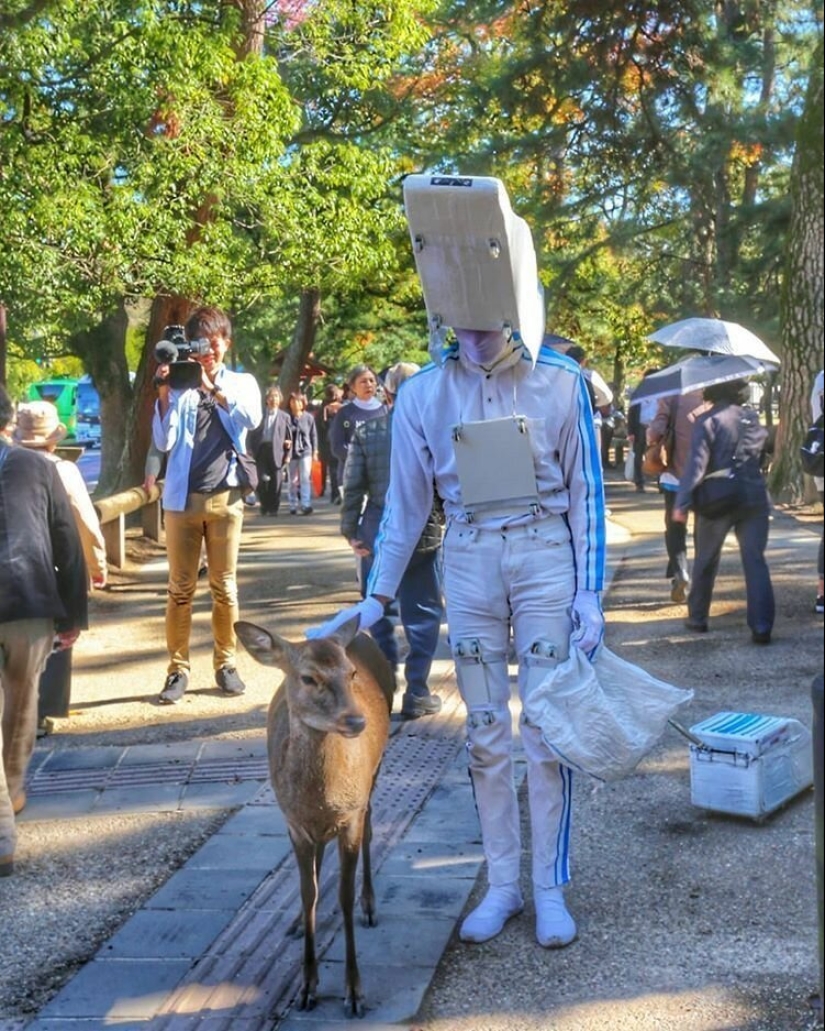 30 evidencia de que Japón — otro mundo